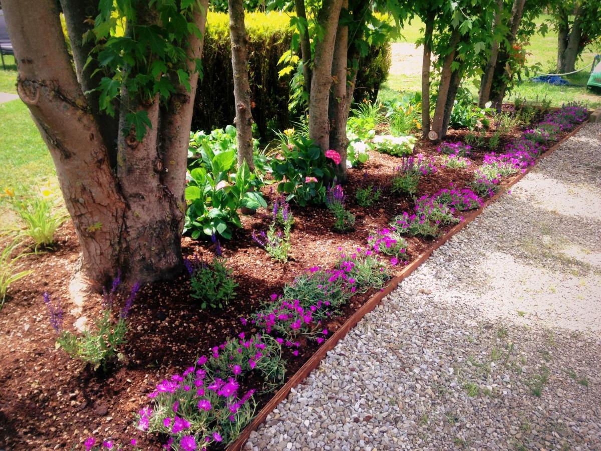 Villa Giuliana Arezzo Dış mekan fotoğraf
